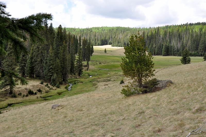 1006120908-Baldy 137.jpg